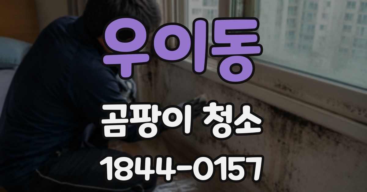 우이동 곰팡이 청소