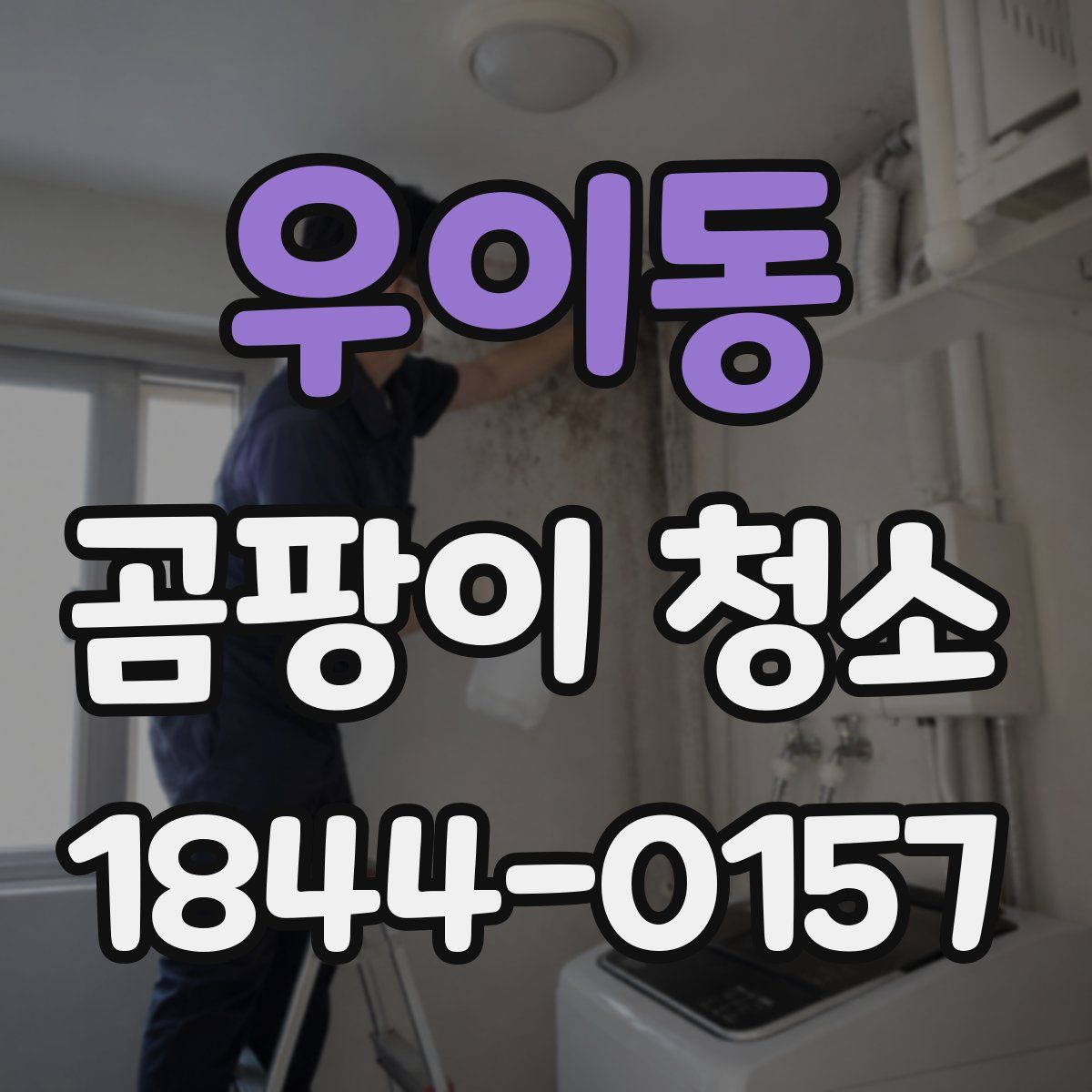 우이동 곰팡이 청소