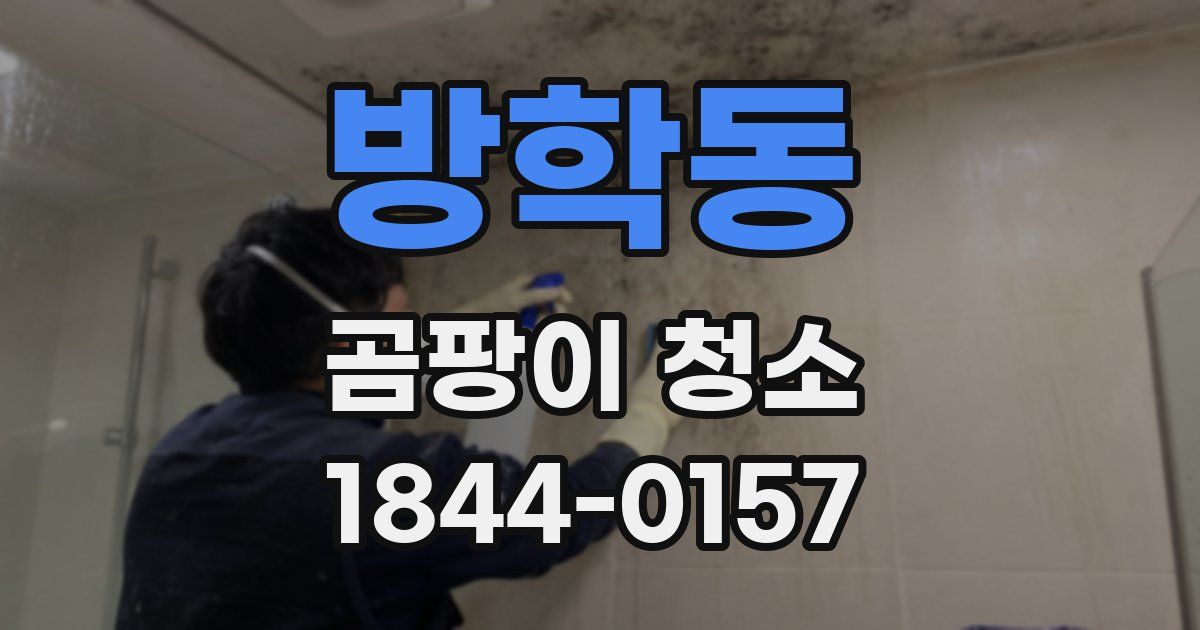 방학동 곰팡이 청소