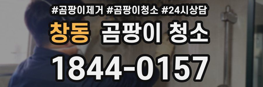 창동 곰팡이 청소