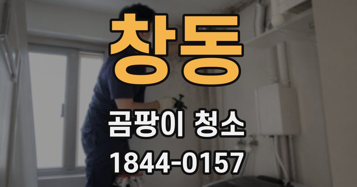 창동 곰팡이 청소