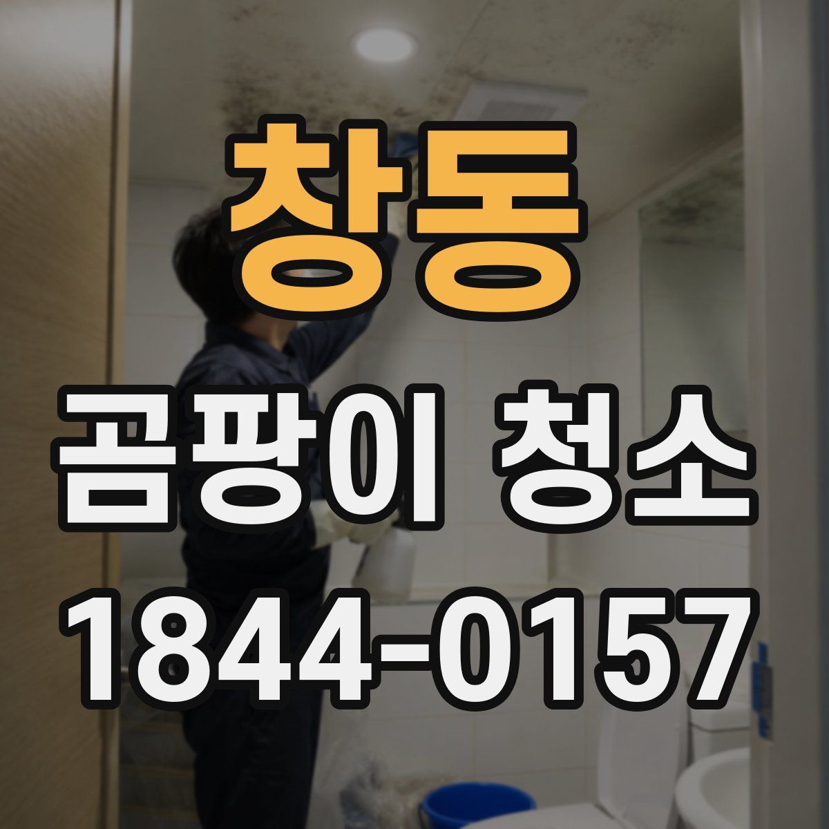 창동 곰팡이 청소