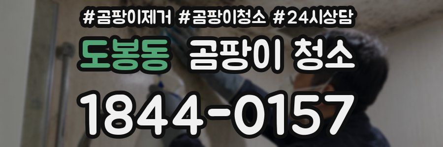 도봉동 곰팡이 청소