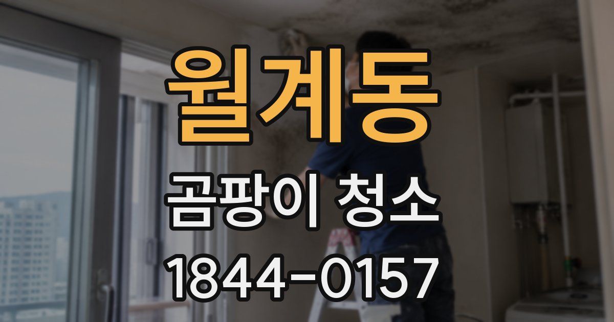 월계동 곰팡이 청소
