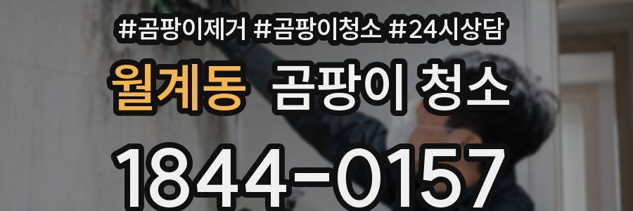 월계동 곰팡이 청소