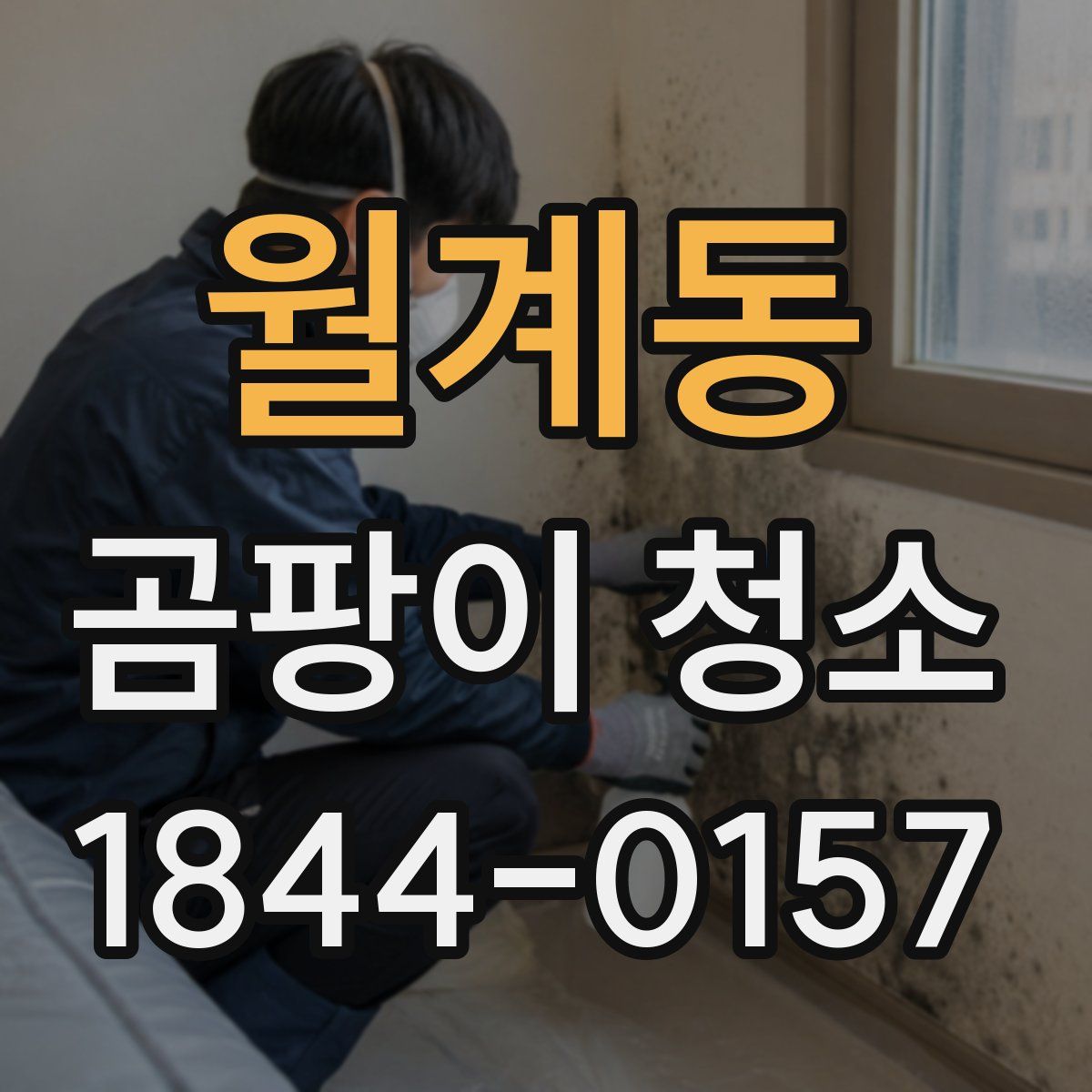 월계동 곰팡이 청소
