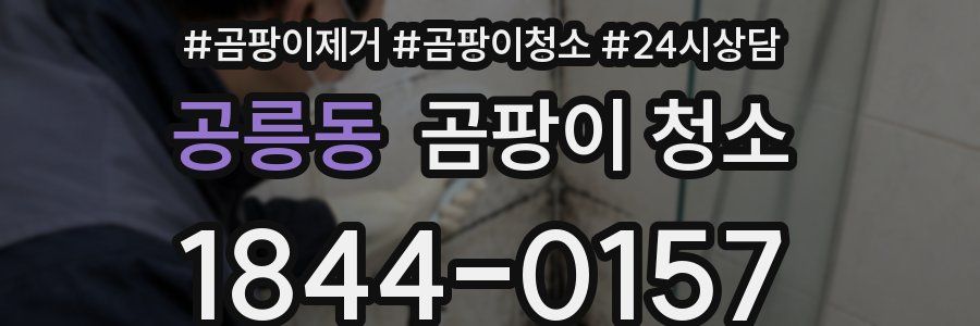 공릉동 곰팡이 청소