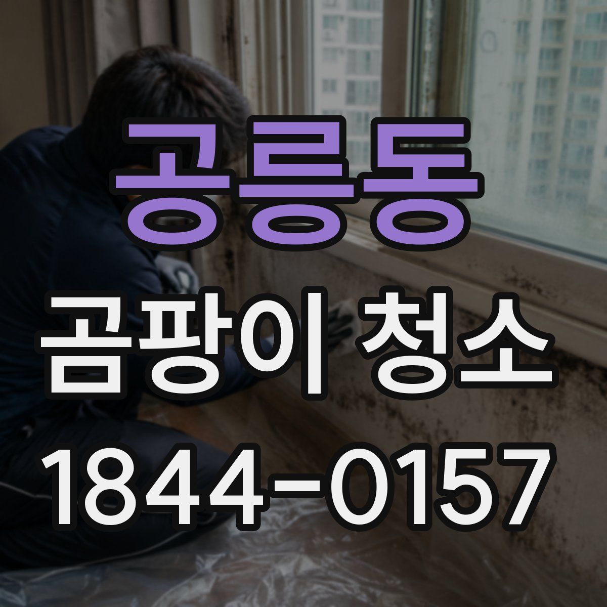 공릉동 곰팡이 청소