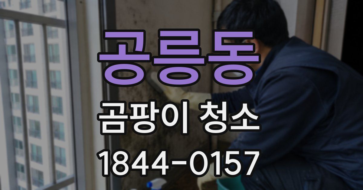 공릉동 곰팡이 청소