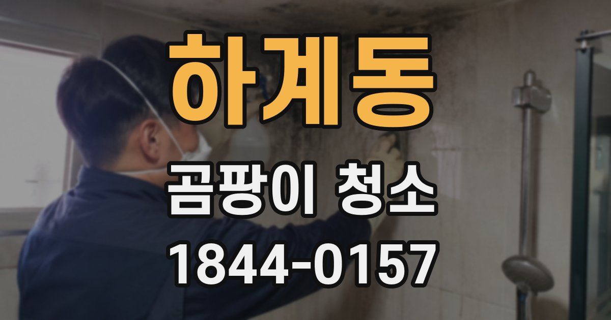 하계동 곰팡이 청소