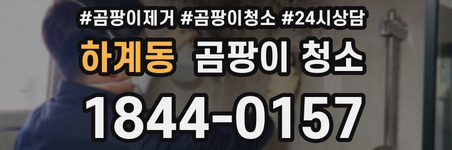 하계동 곰팡이 청소