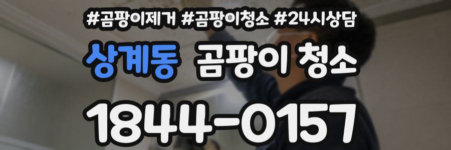 상계동 곰팡이 청소