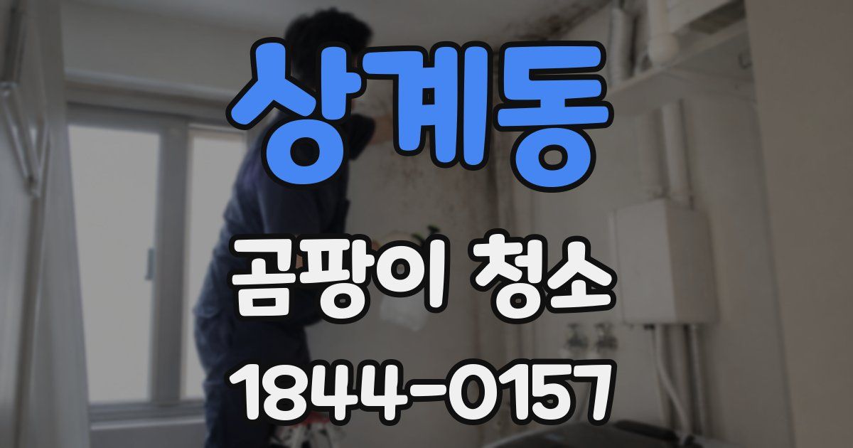 상계동 곰팡이 청소