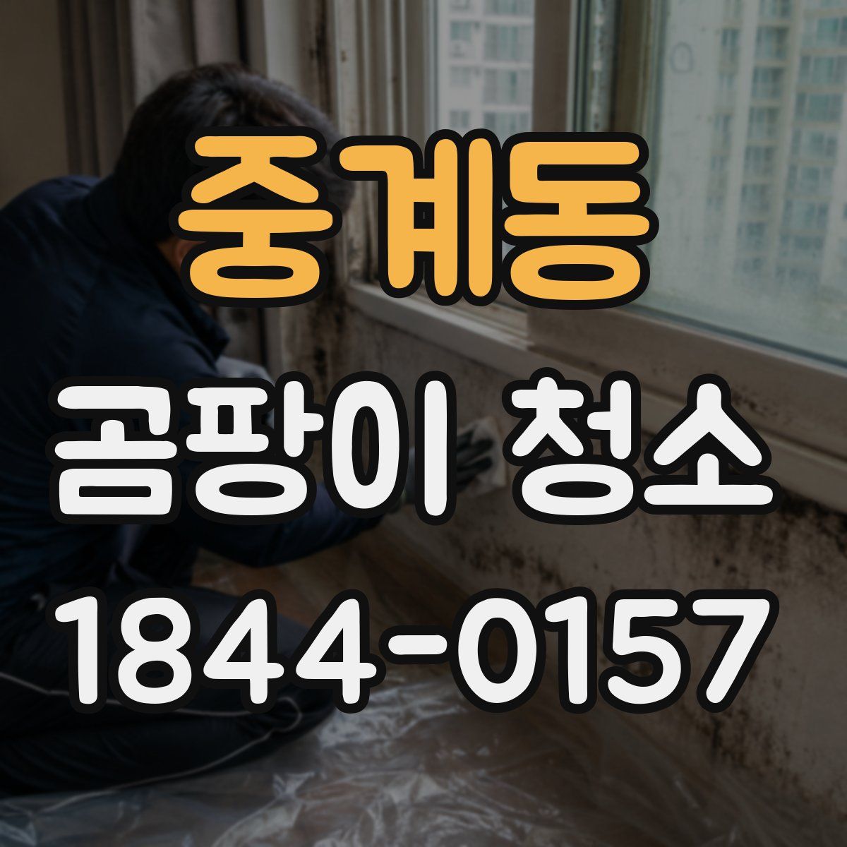 중계동 곰팡이 청소