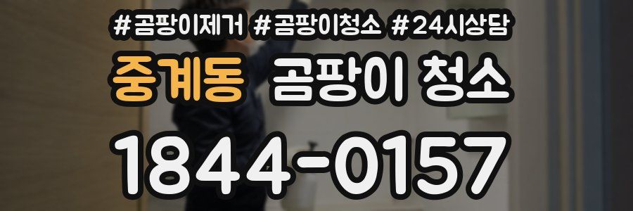 중계동 곰팡이 청소