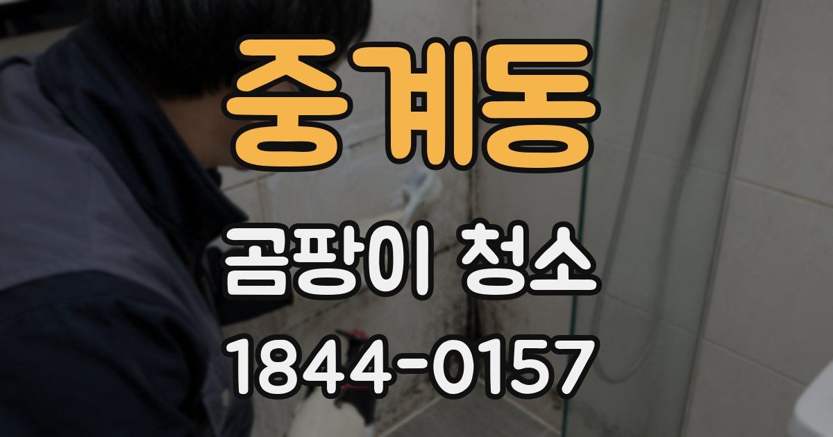 중계동 곰팡이 청소