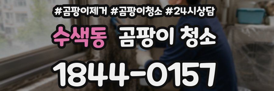 수색동 곰팡이 청소