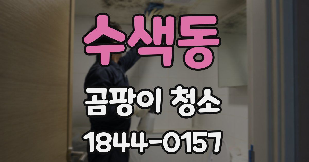 수색동 곰팡이 청소