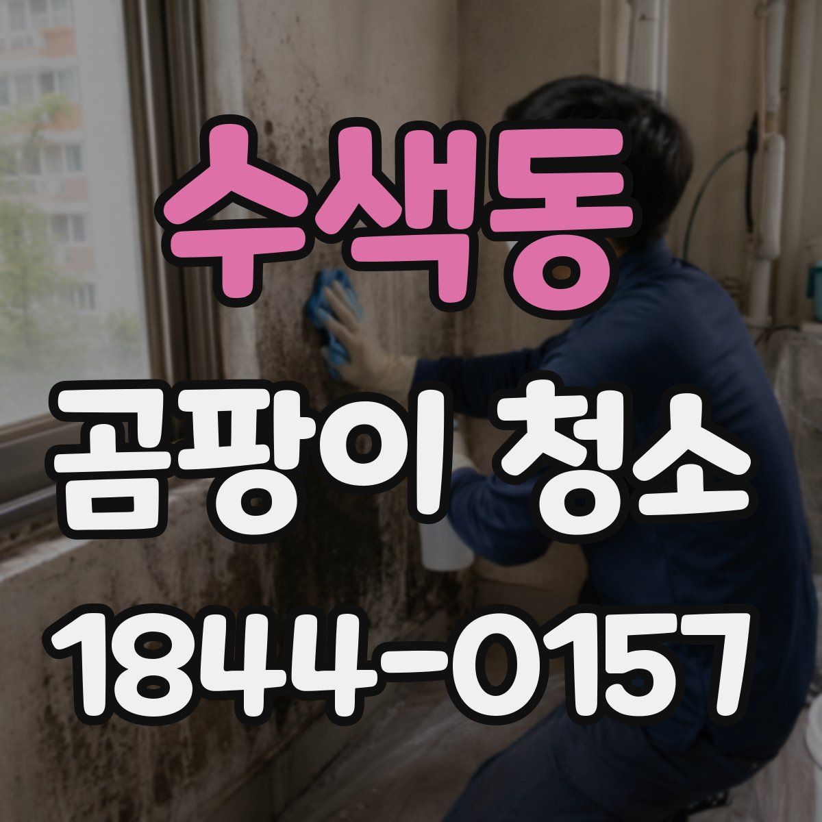 수색동 곰팡이 청소