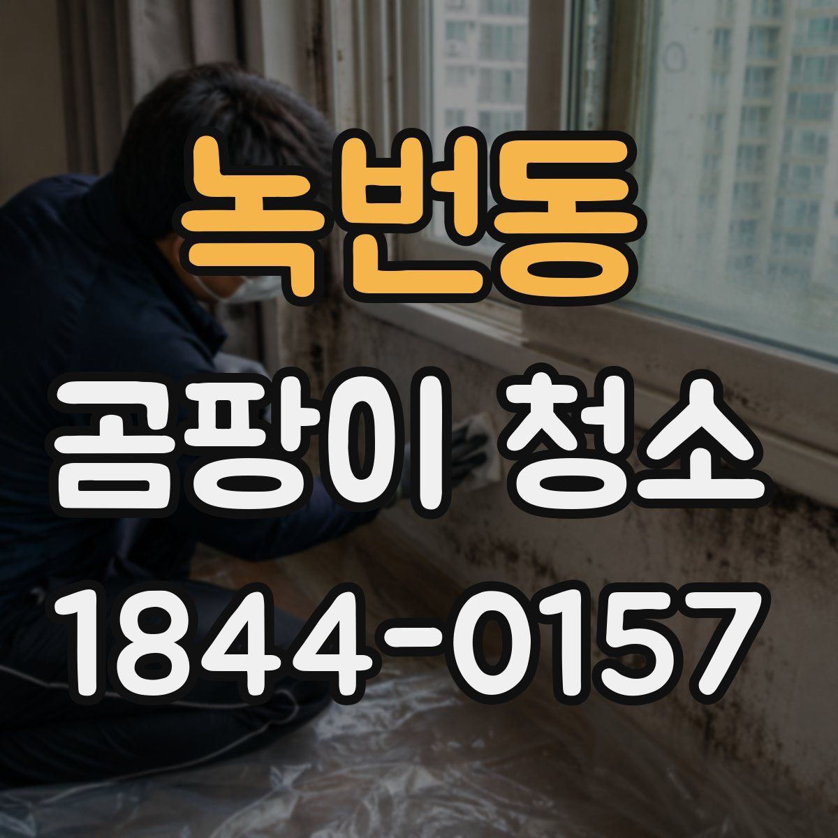 녹번동 곰팡이 청소