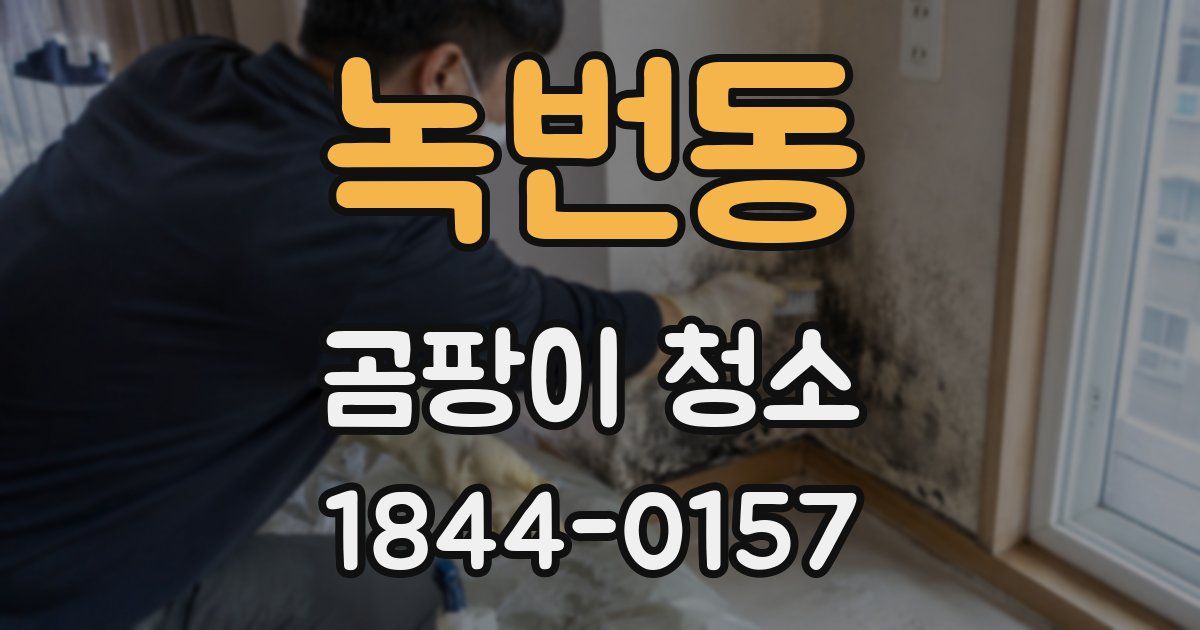 녹번동 곰팡이 청소