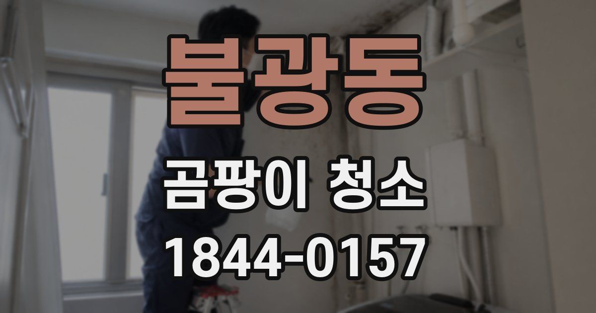 불광동 곰팡이 청소