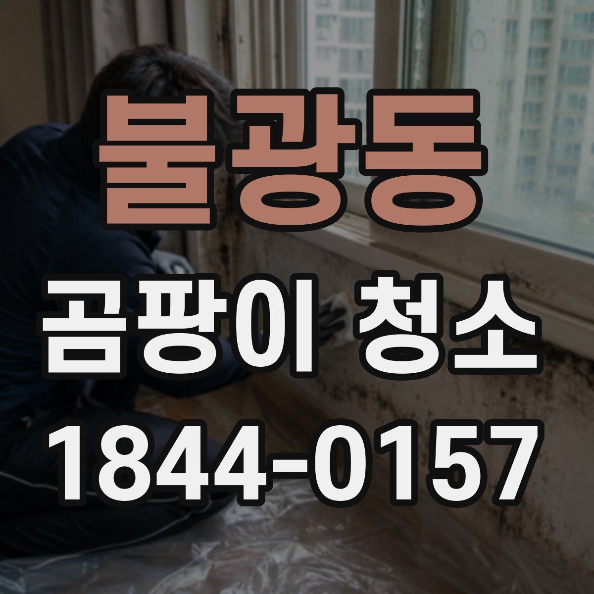 불광동 곰팡이 청소