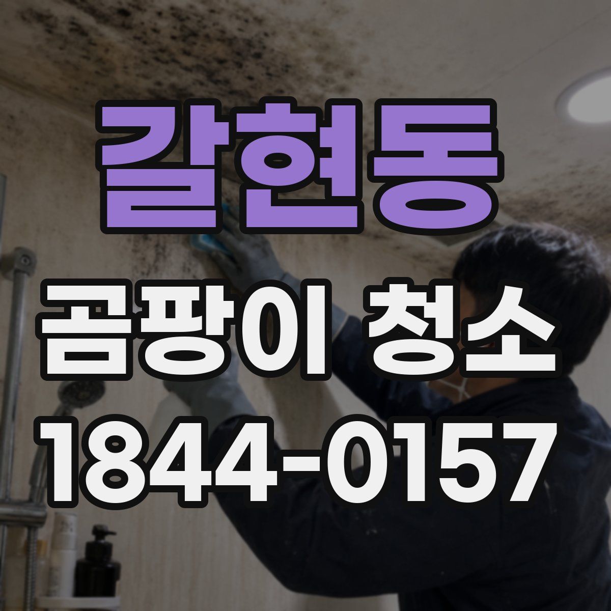갈현동 곰팡이 청소