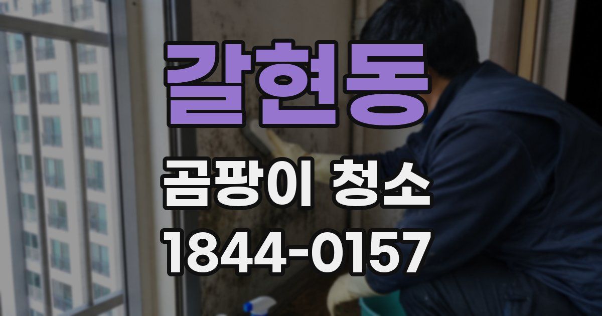 갈현동 곰팡이 청소