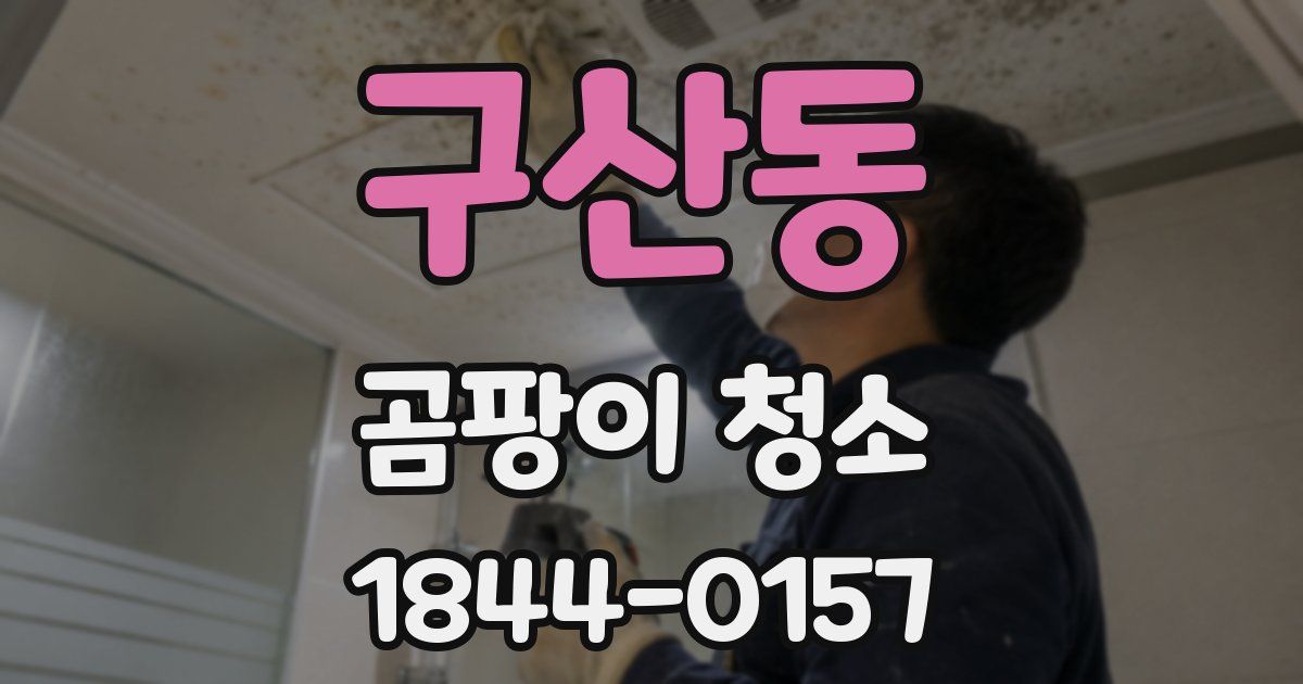 구산동 곰팡이 청소