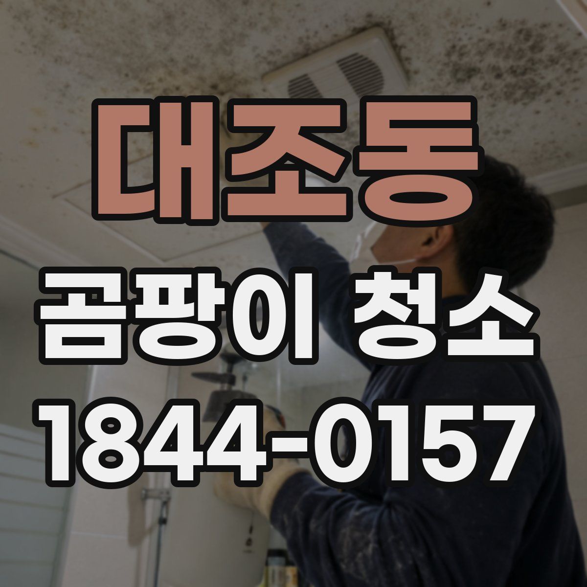 대조동 곰팡이 청소