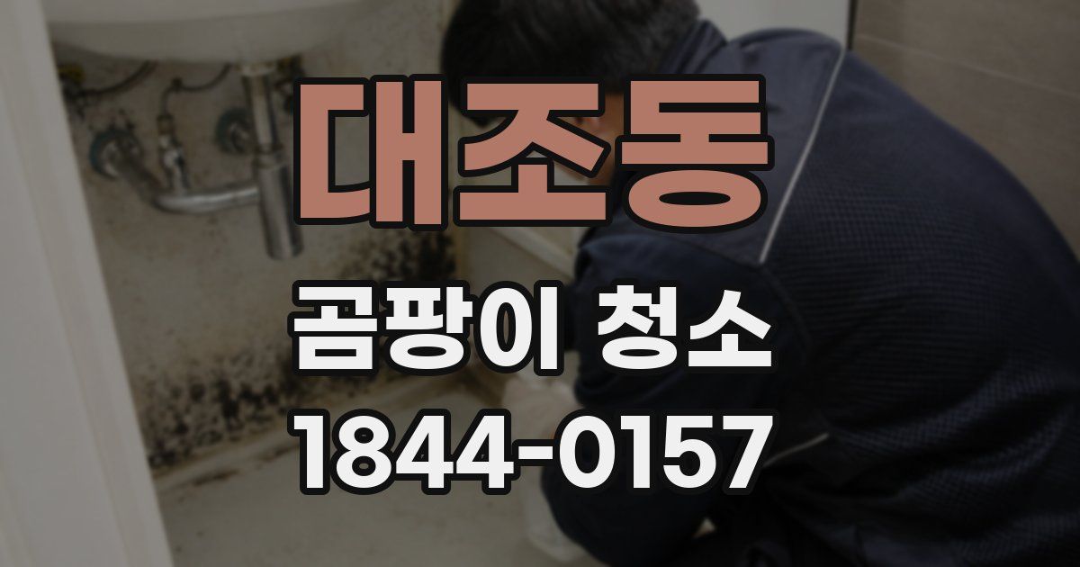 대조동 곰팡이 청소