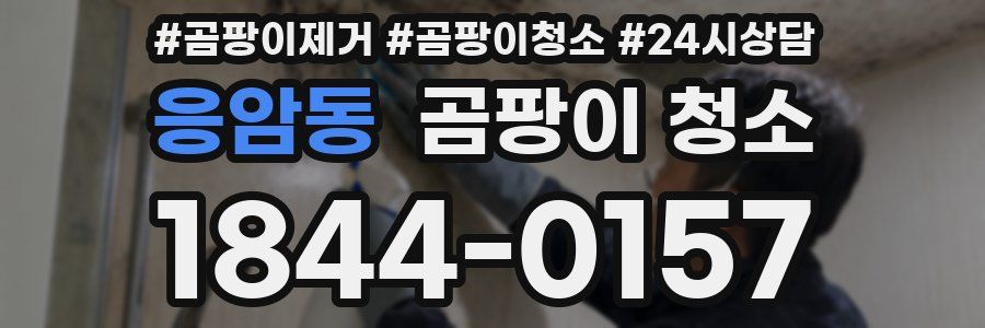 응암동 곰팡이 청소