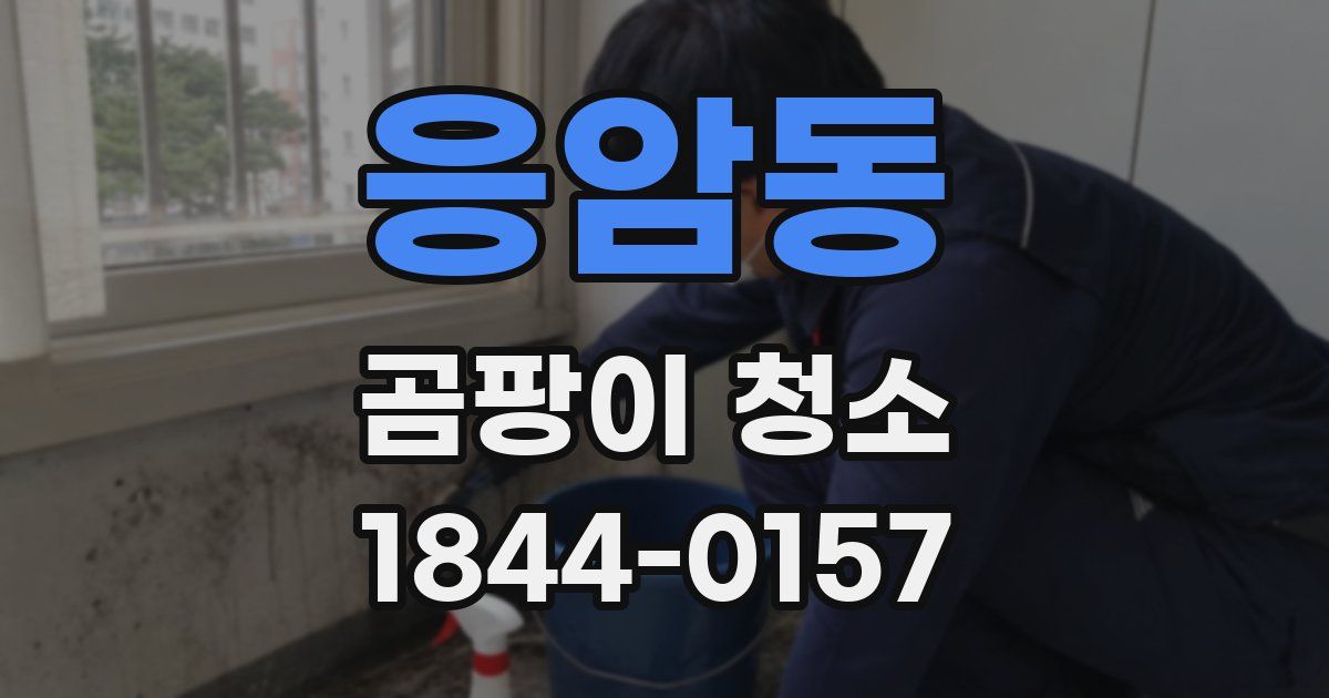 응암동 곰팡이 청소