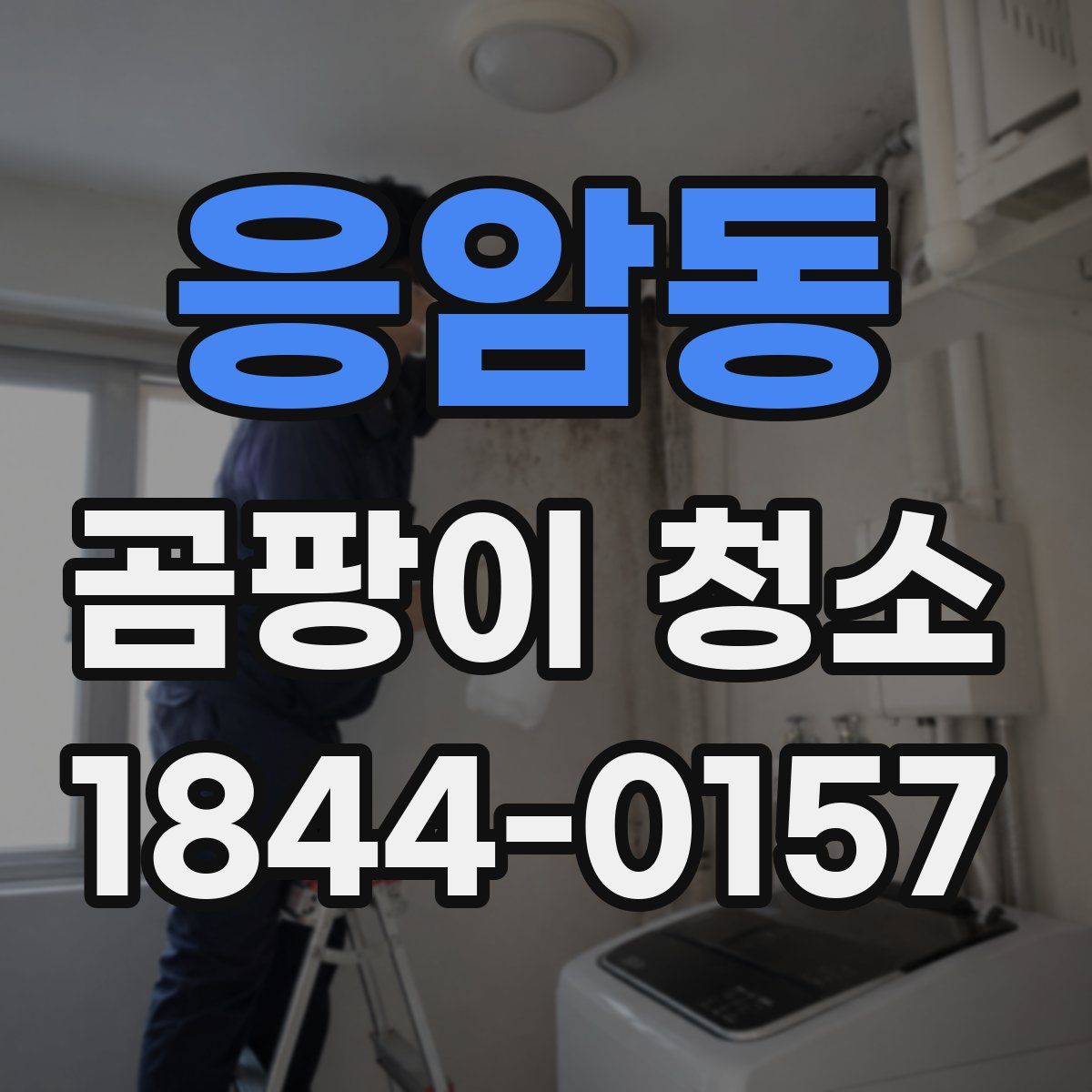 응암동 곰팡이 청소