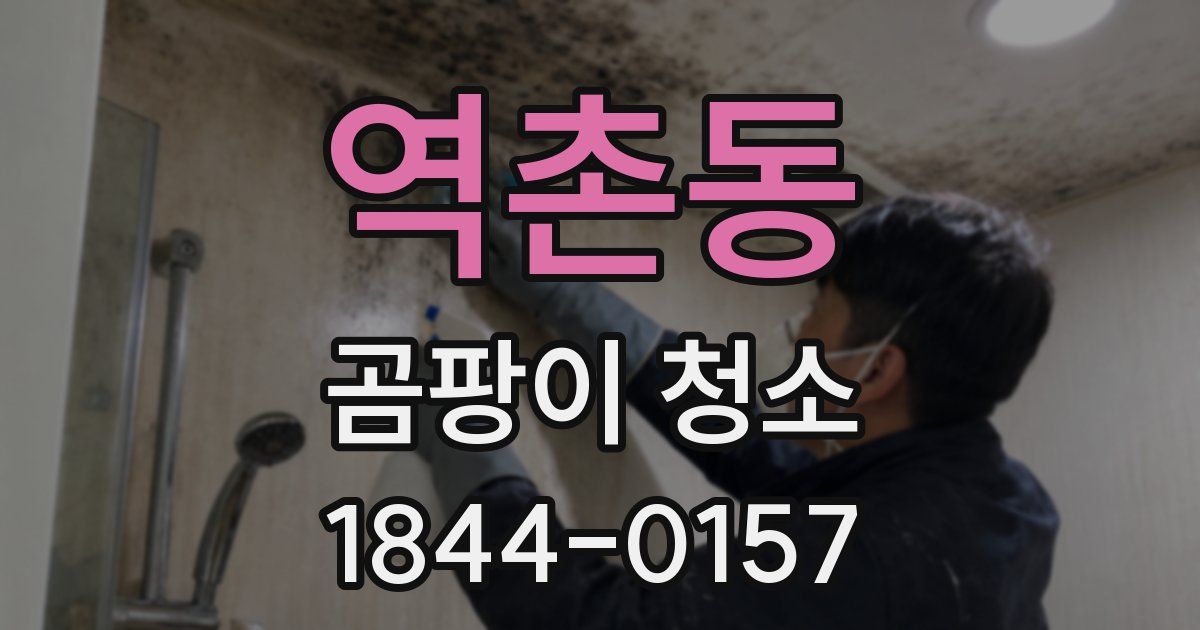 역촌동 곰팡이 청소