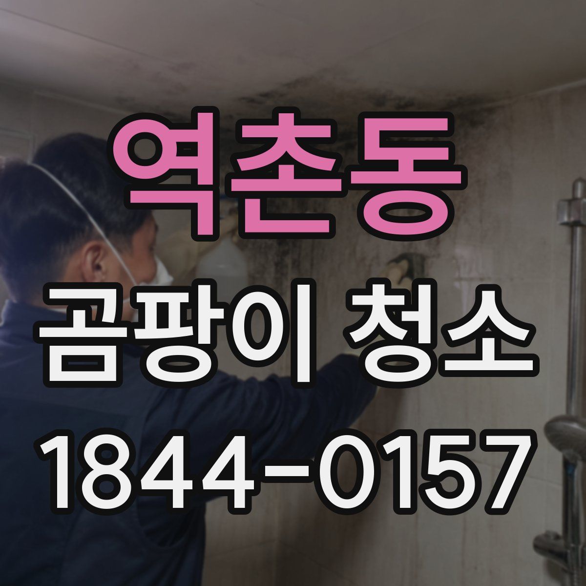 역촌동 곰팡이 청소
