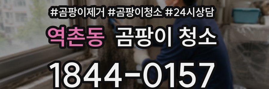 역촌동 곰팡이 청소