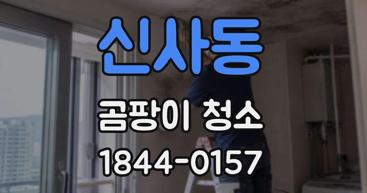 신사동 곰팡이 청소