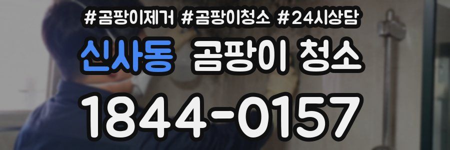 신사동 곰팡이 청소