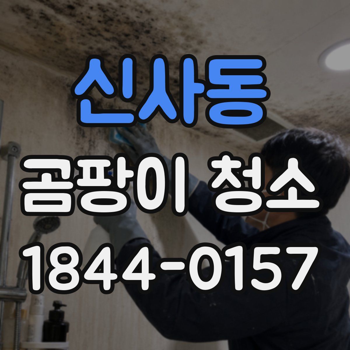 신사동 곰팡이 청소