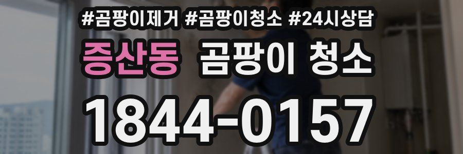 증산동 곰팡이 청소