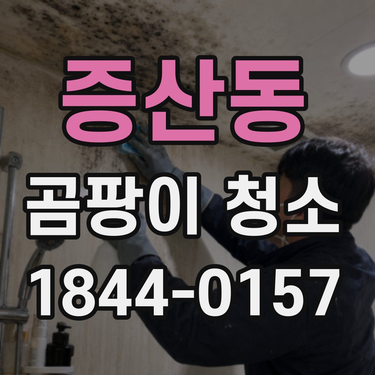 증산동 곰팡이 청소