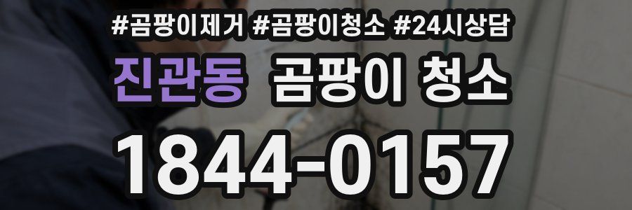 진관동 곰팡이 청소