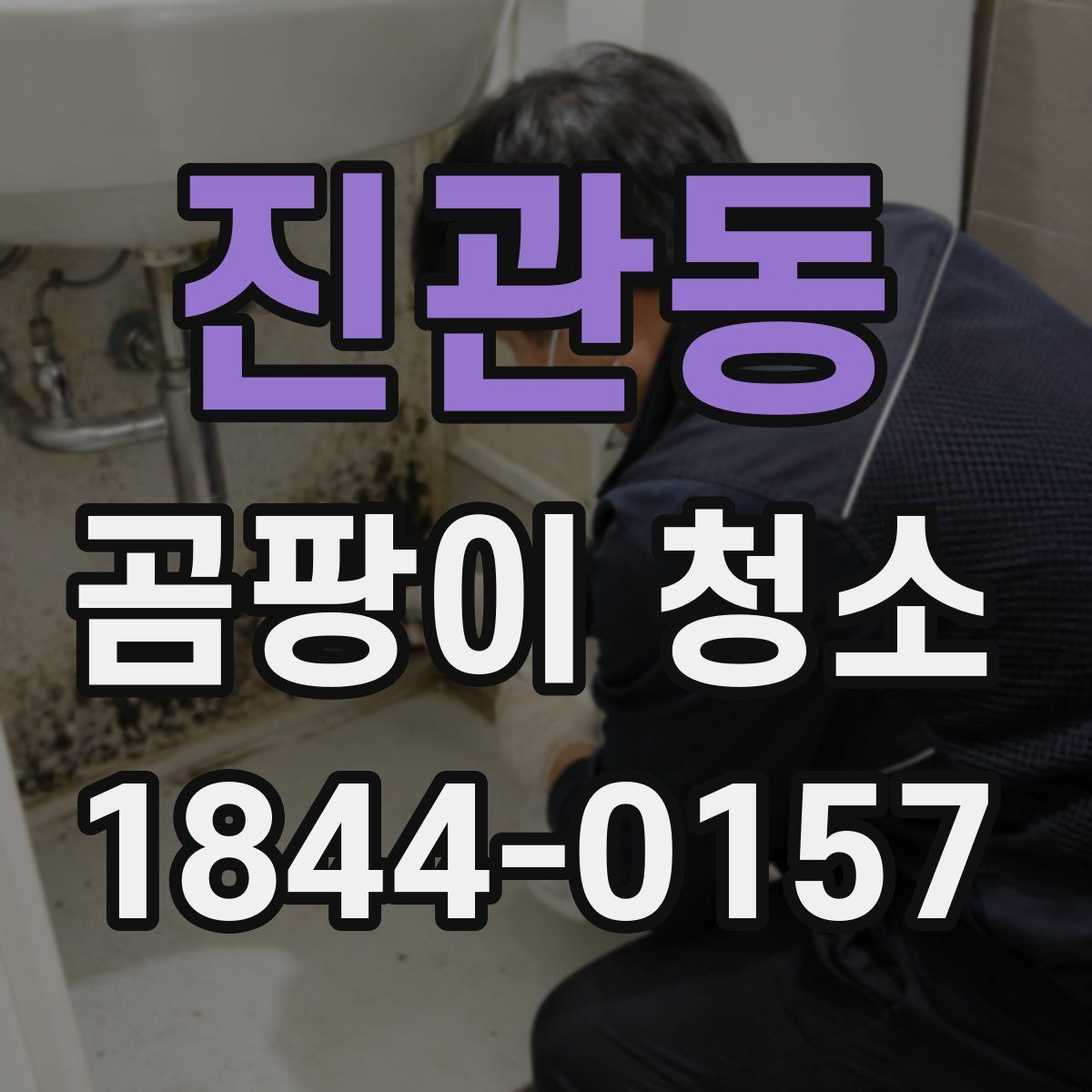 진관동 곰팡이 청소