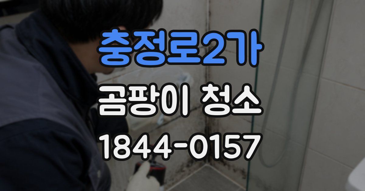 충정로2가 곰팡이 청소
