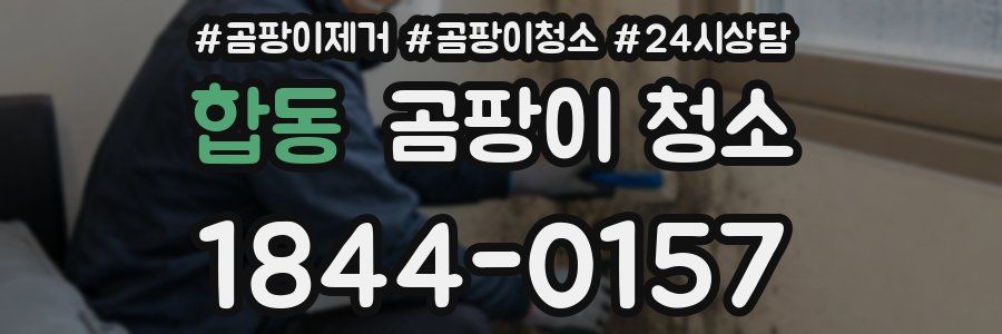 합동 곰팡이 청소