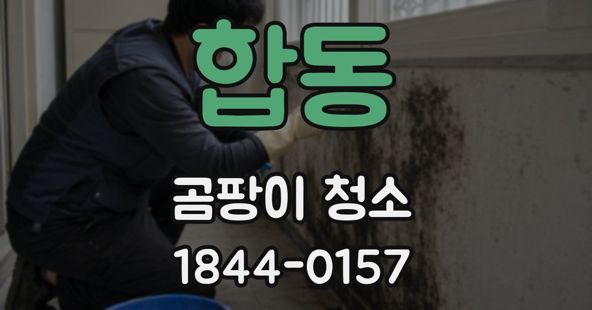 합동 곰팡이 청소