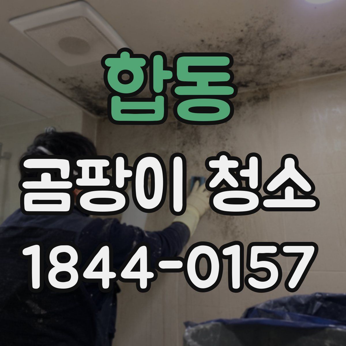 합동 곰팡이 청소