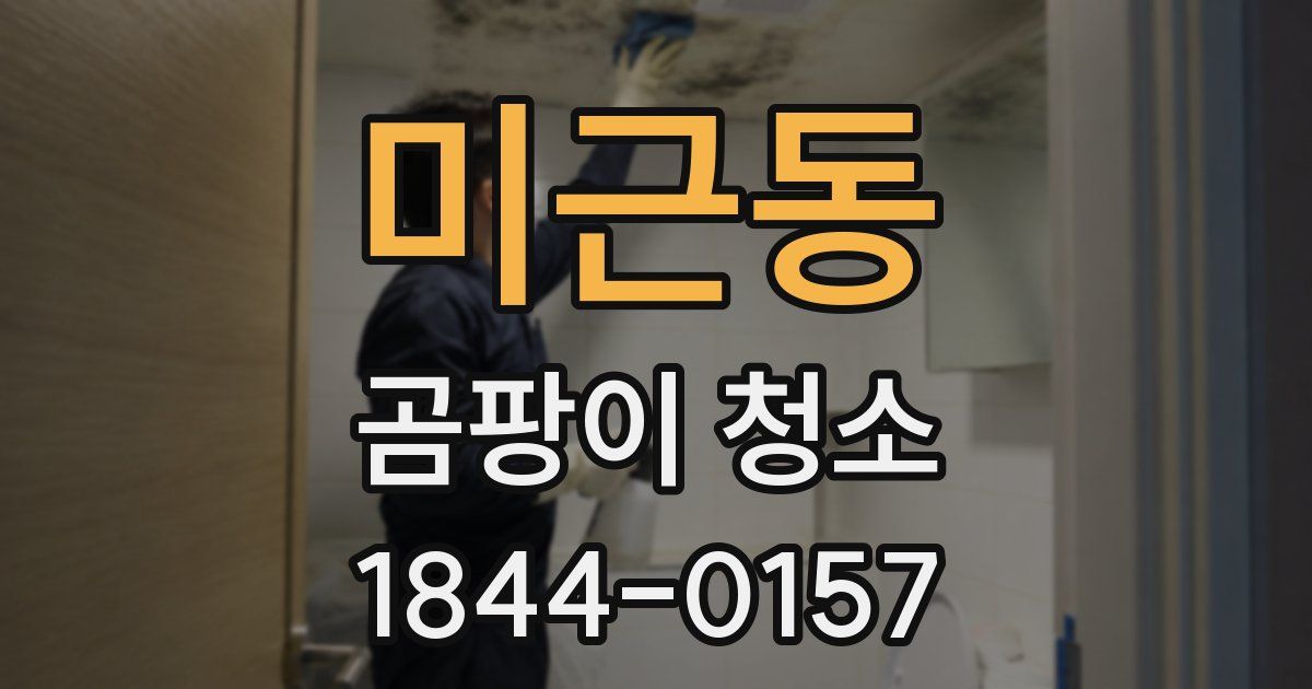 미근동 곰팡이 청소